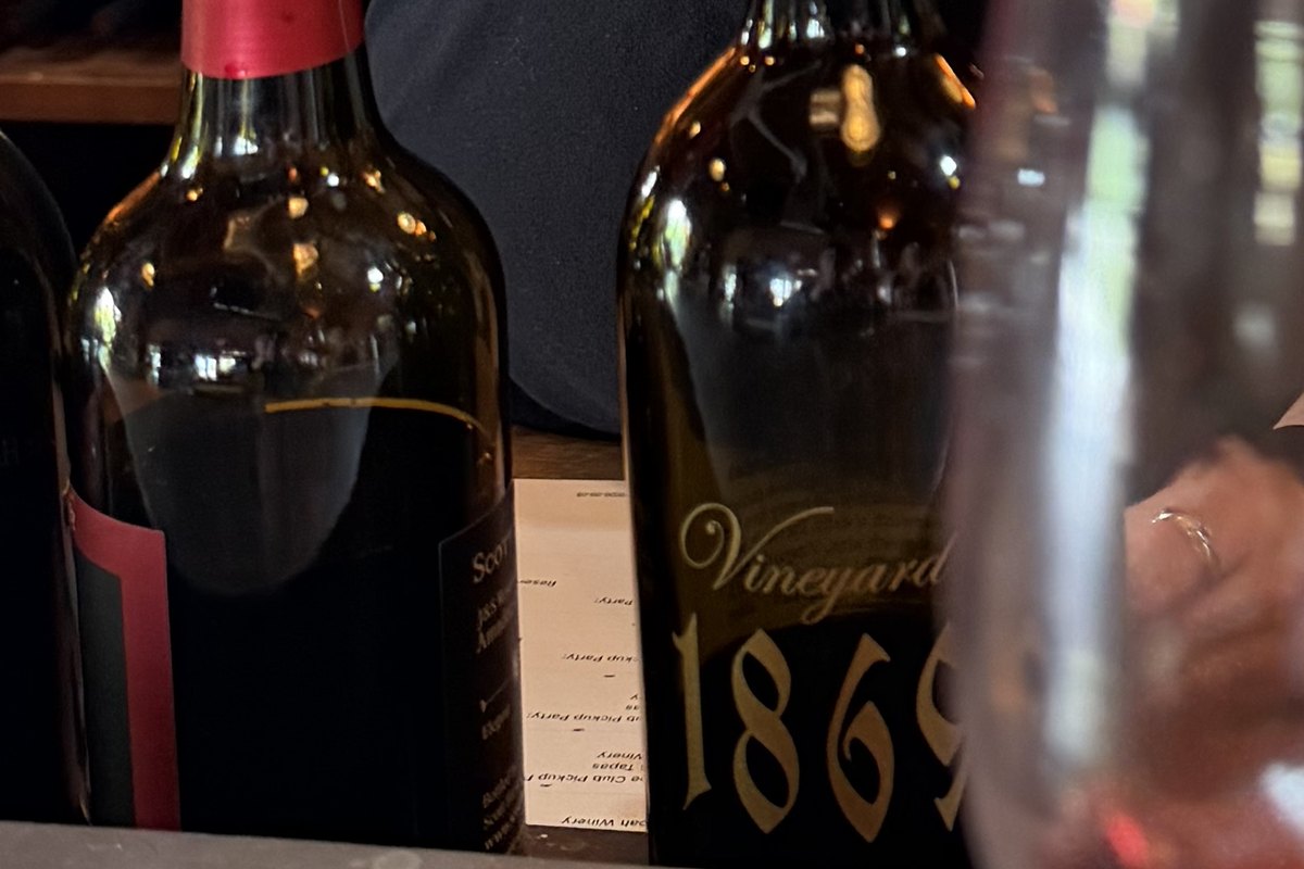 A bottle of Scott Harvey Vineyard 1869 Zinfandel standing on the tasting room counter, the gold script label legible on dark glass, with other bottles and a club pickup party card beside it.