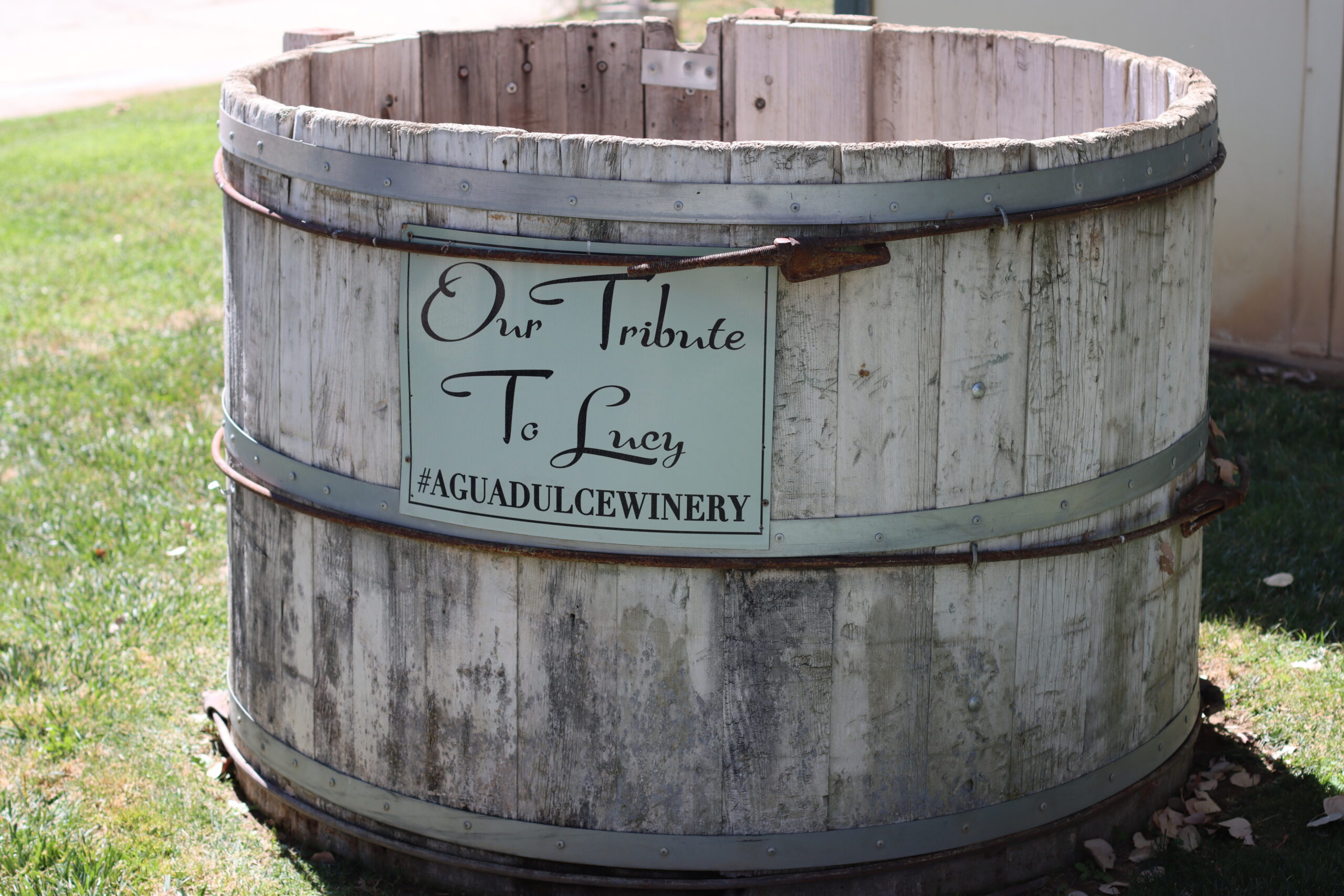 A weathered wooden grape-stomping tub on the lawn at Agua Dulce Winery, with a sign reading Our Tribute to Lucy.